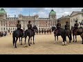 Horses Could Not Hold It Any Longer