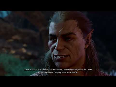 Baldur's Gate 3 - Prepare to Camp in Underdark, Asking Halsin How He Fare #E396