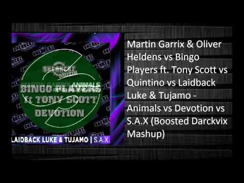 Martin Garrix vs Bingo Players vs Tujamo - Animals vs Devotion vs S.A.X (BD Mashup)
