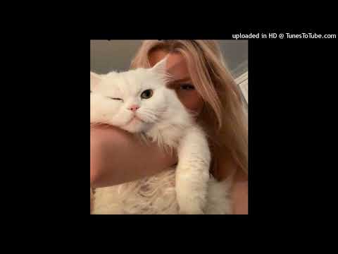 GIRESUNFREESTYLE - YUNGCIHAD x QIMP