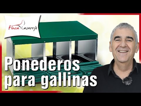 , title : '🥚Ponedero Para Gallinas: Huevos siempre limpios 🥚'