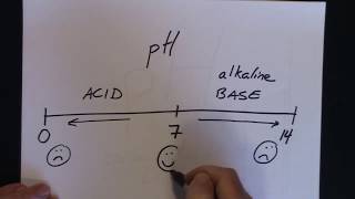 pH and buffers overview for biology