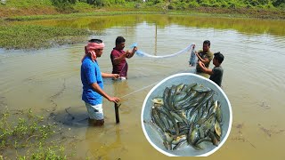 পুকুর থেকে টাটকা দেশি মাগুর ধরে রান্না করে খাওয়া | Fishing and cooking | village cooking vlog