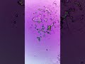 Zamzam Water Under The Microscope Looks AMAZING