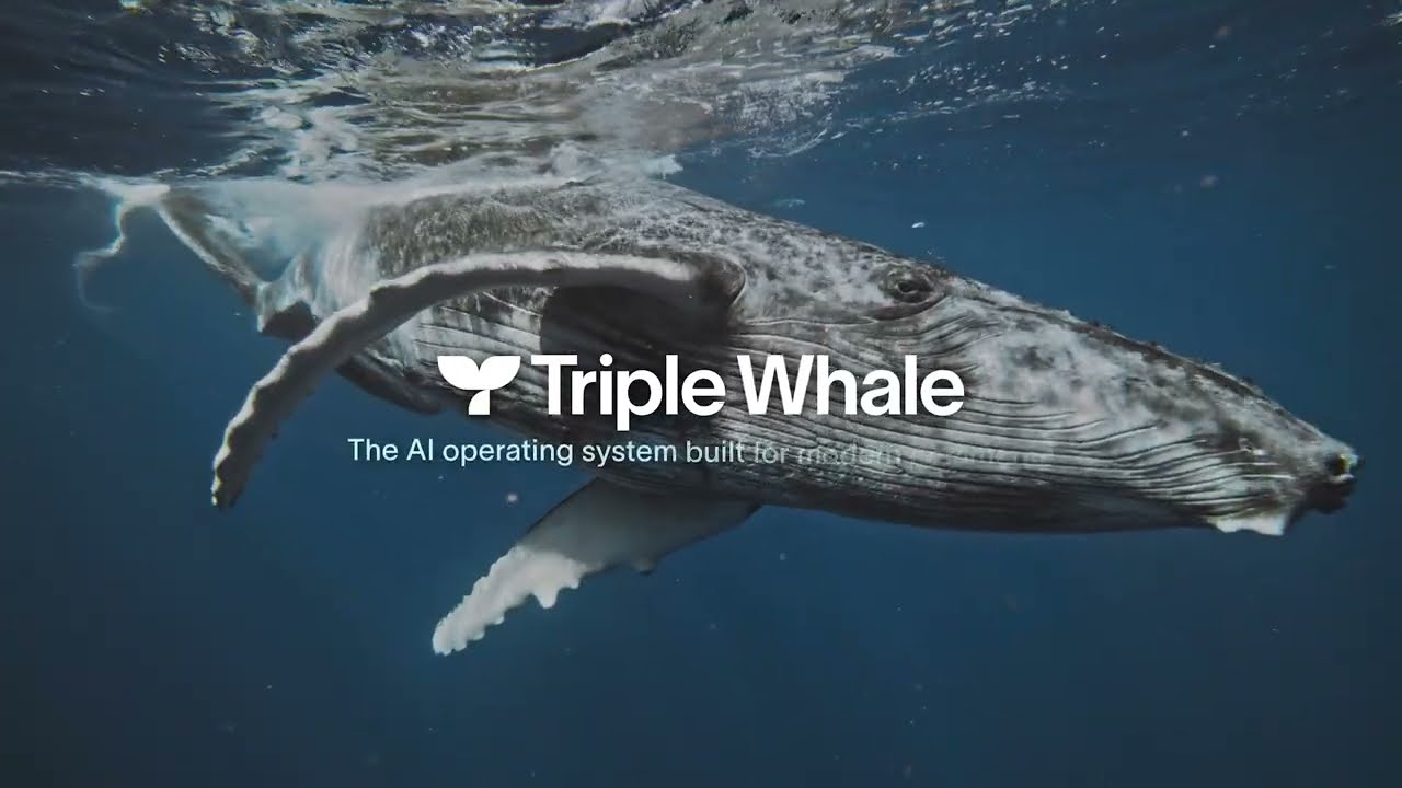 Triple Whale Demo