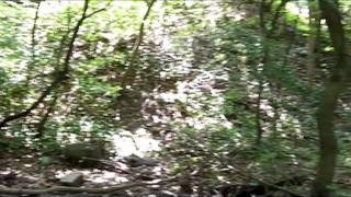 preview picture of video 'The Mills of Pennypack Park'
