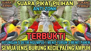 Download lagu Suara Pikat Semua Burung Kecil Paling Ampuh - MP3 burung ribut  mp3