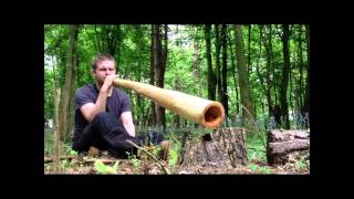 &#39;Yolngu Matha&#39; Rowan Didgeridoo in G. Made in the UK by Paul Osborn