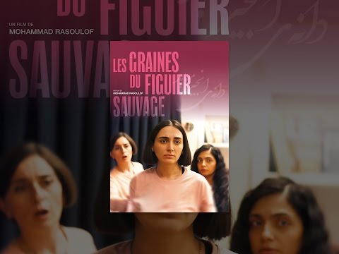 Les graines du figuier sauvage