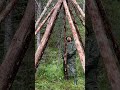 I Built a Shelter Out of Plastic Wrap