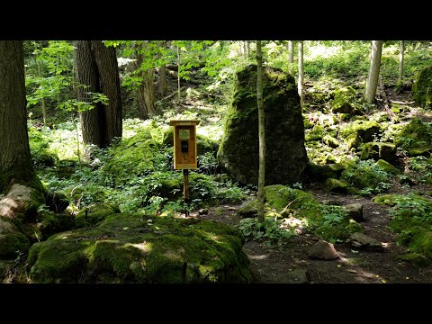 Wind Phone Hospice Niagara