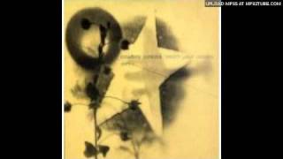 Cowboy Junkies - Thunder Road (Bruce Springsteen Cover)