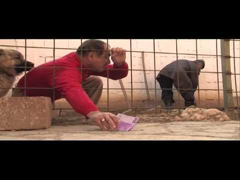 Qumili - Uka "50 euro fallc" Humor 2012