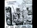 Screeching Weasel - If You Can't Have Fun... Why Bother Living? 7" EP 1080P