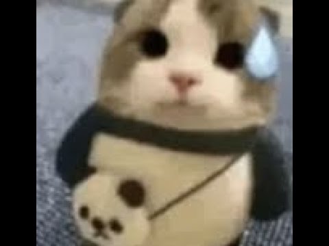 Dehya showcase but with bad artifacts and no crit and level 1 talent