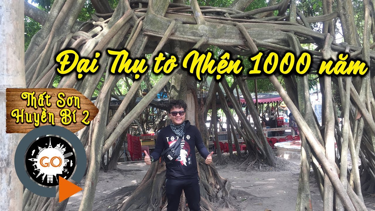 Đại Thụ Tơ Nhện 1000 năm độc đáo ở Trại Ruộng Thới Sơn | THẤT SƠN HUYỀN BÍ 2 | 1000 years old tree