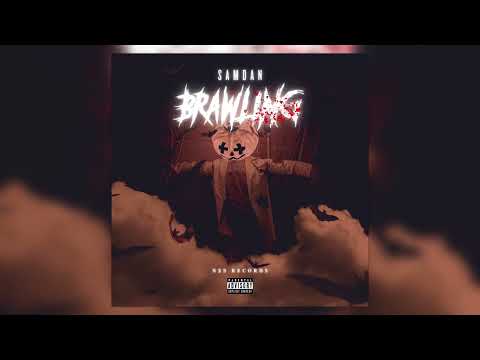 SamDan - Brawling (Audio)