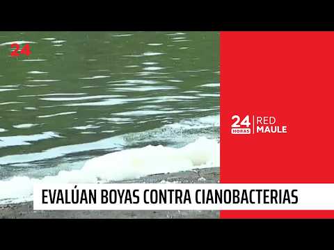 Avanza la recuperación del lago Vichuquén con apoyo tecnológico y comunitario| 24 Horas - Red Maule