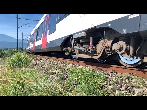 RABe 521 019 - TRAINS IN SLOMO