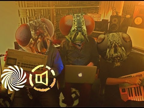 Cat On Mushroom - The Fly (LOUD feat. Space Cat Remix)