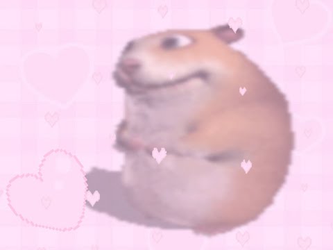 ♥ ~ Find the Chomiks - my first chomik of every difficulty ~ ♥