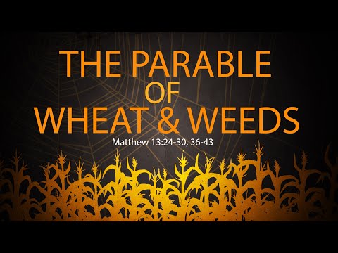 01/26/20 The Parable of Wheat and Weeds