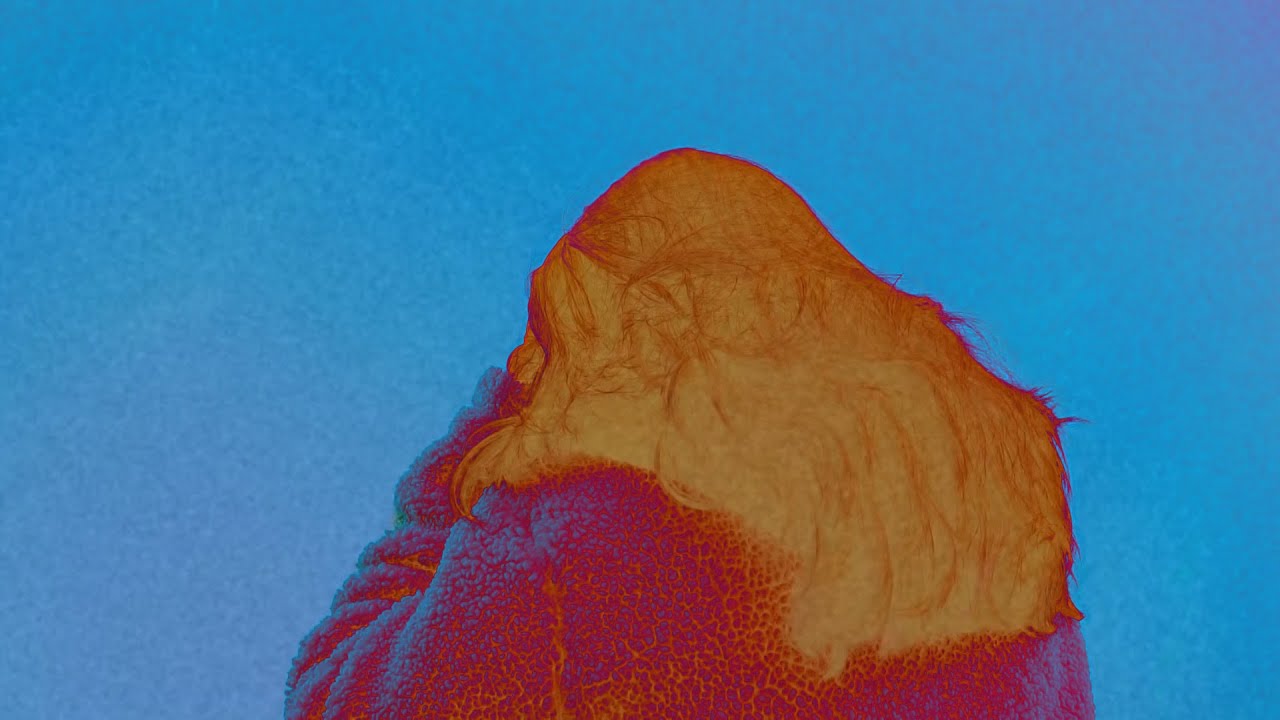 Poodle Game (Experimental Walkthrough)