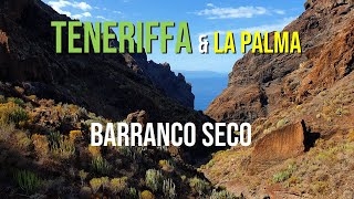 Los Gigantes