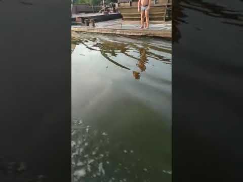 Русские не сдаются!