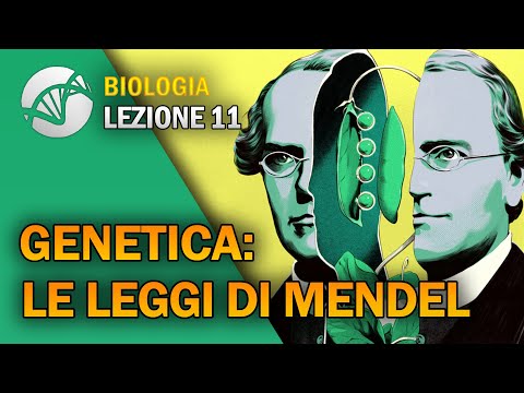 BIOLOGIA - Lezione 11 - Genetica: Le Leggi di Mendel