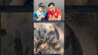 Download lagu What kind of tiger is this, duh? mp3 Download lagu What kind of tiger is this, duh? mp3