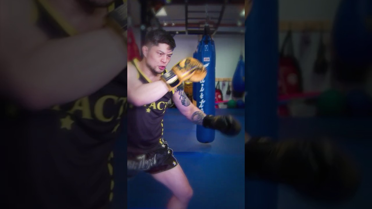 Impact Martial Arts