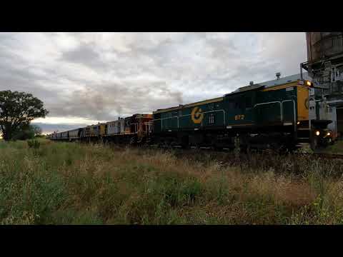 872, 852 & 864 at The Troffs NSW.  Mon 22nd Nov 2021