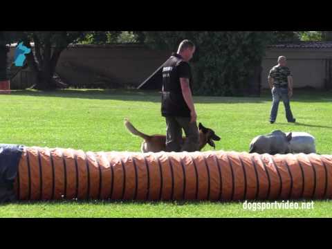 1. DMV Championat - Maik Lauß - M'Patrasch van het Retrohof