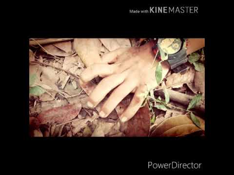 Team tiger (Attacked of zombie) (short film)