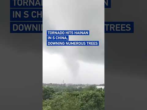 Tornado hits south China's Hainan Province, downing numerous trees