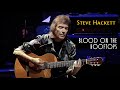 Steve Hackett -  Blood On The Rooftops