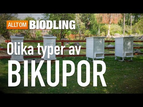 Bikupa - Typer av bikupor - Biredskap - Biodling