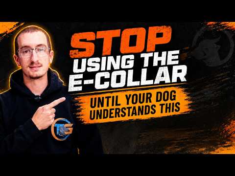 Tristan Gibson Dog Training video.