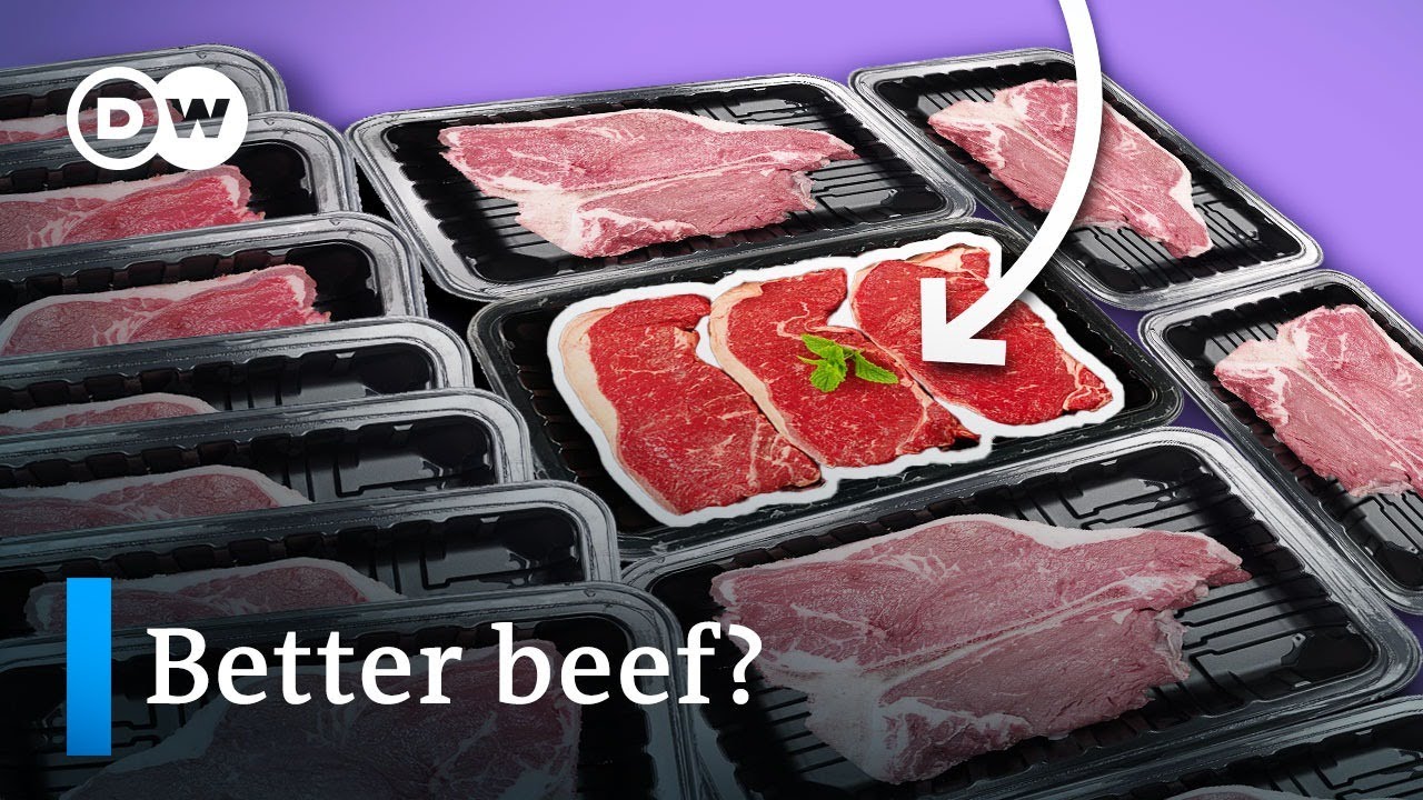 Can we produce beef that doesn’t ruin the planet?