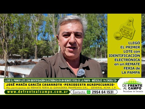 PRIMER LOTE A SUBASTA en LA PAMPA con IDENTIFICACIÓN ELECTRÓNICA -  GENERAL ACHA -L.P.-
