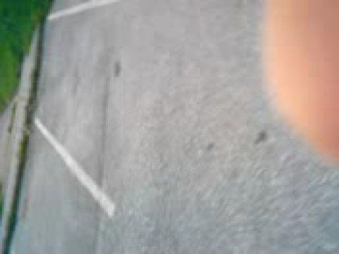 Hasenzahn und Moby Dick (Liebesvideo)