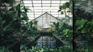 jinsang - egyptian pools (1 Hour Homework Edit)