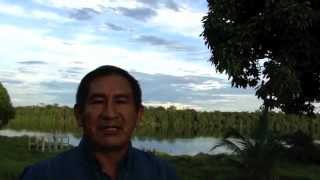 Mineração na Terra Indígena Alto Rio Negro