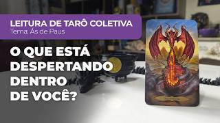 LEITURA DE TARÔ POR ESCOLHA | O que está despertando dentro de você?