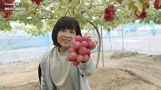 World class Sendai Foods 3 Perfect Days in Miyagi (th)