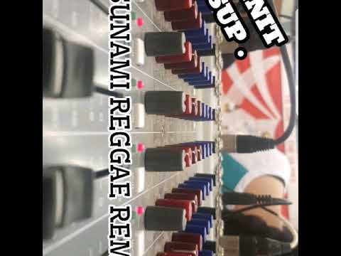 To Mai Ha Tsunami DJ HUNNIT (reggae remix) 2K17