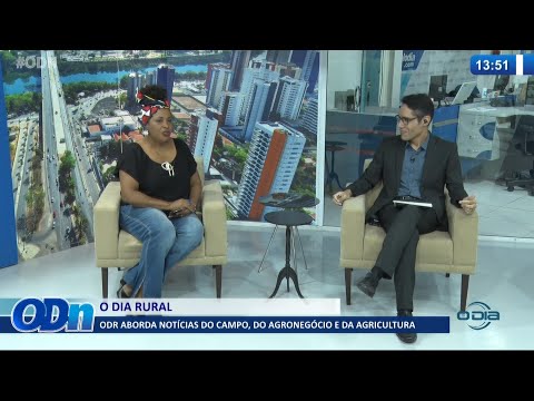 ODR aborda notícias do campo, do agronegócio e da agricultura 06 08 2021