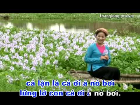 Ảnh bài hát Hoa Thơm Bướm Lượn - Thể hiện bởi Lương Thu Hồng