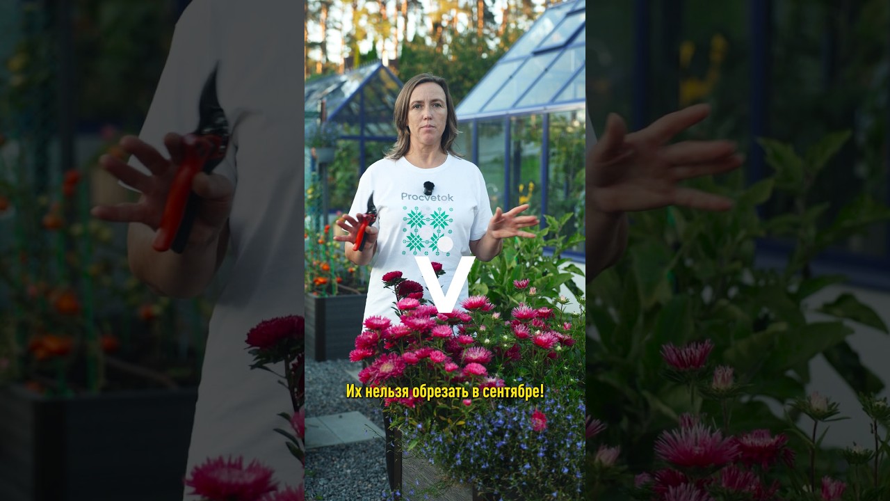 Не вздумайте обрезать эти растения в сентябре! Не зацветут весной или вовсе погибнут